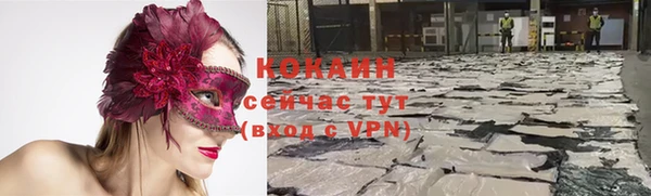 шишки Балабаново